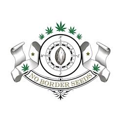 NO BORDER SEEDS - SOURGORILLAKUSH - 6 SEEDS - PREMIUM QUALITY