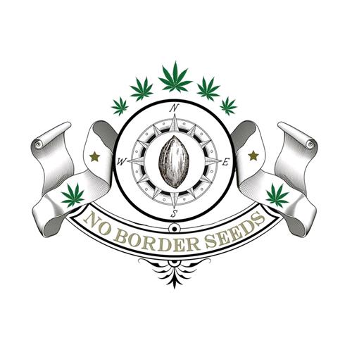 NO BORDER SEEDS - SOURGORILLAKUSH - 6 SEEDS - PREMIUM QUALITY