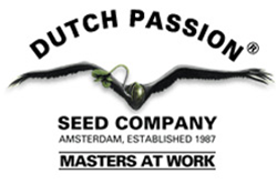 Dutch Passion