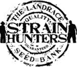 Strain Hunters