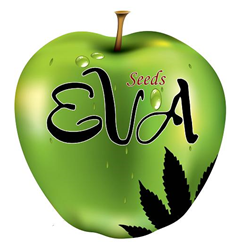 Eva Seeds