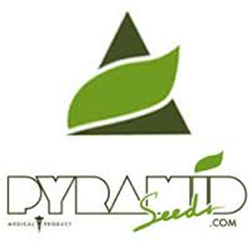 Pyramid Seeds