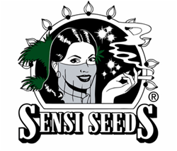 Sensi Seeds