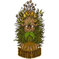 Exotic Seeds