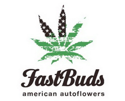 Fast Bud
