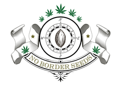 No Border Seeds