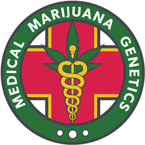 MEDICAL MARIJUANA GENETICS - NAGUAL - 3 SEMI