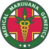 MEDICAL MARIJUANA GENETICS - ORINOCO - 3 SEMI