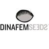 DINAFEM - PURPLE ORANGE CBD - 3 SEMI
