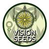 VISION SEEDS - BLUEBERRY BLISS AUTO - 3+1 SEMI