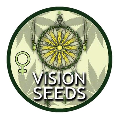 VISION SEEDS - DELHI CHEESE AUTO - 5 SEEDS