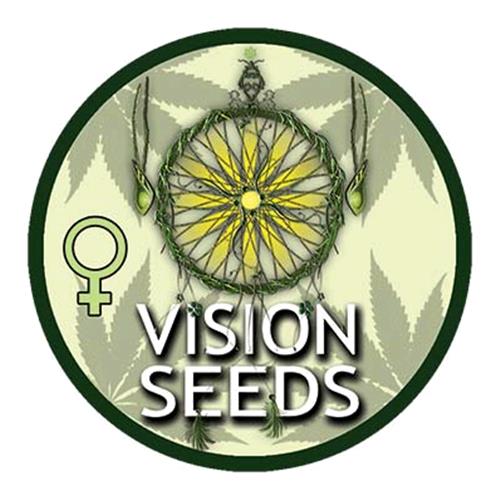 VISION SEEDS - LOWRYDER AUTO - 3 SEEDS