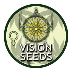VISION SEEDS - DOCTOR JAMAICA AUTO - 3+1 SEMI
