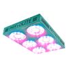 PHYTOLITE - LAMPADA LED CLOROFILLA CREE 3070 495 - CLOROFILLA PRO