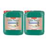 CANNA COGR FLORES A+B 2X5L
