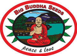 Big Buddha