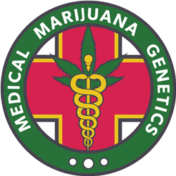 Medical Marijuana Genetics