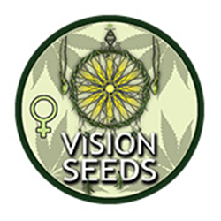 Vision Seeds