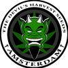 DEVIL'S HARVEST - OG REEK'N FEMMINIZZATA - 5 SEMI