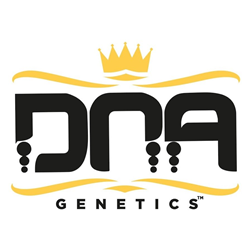 DNA Genetics