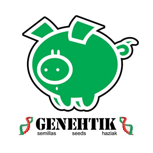 GENEHTIK - NORTHERN LIGHTS X - 5 SEEDS