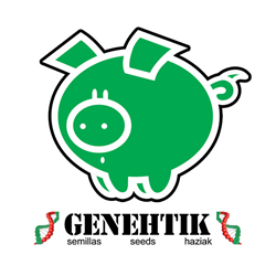 Genehtik