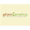 MICROGENETICA - WHITE CHEESE  FEM - 10 SEMI