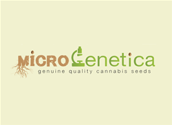Microgenetica