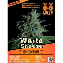 MICROGENETICA - WHITE CHEESE  FEM - 10 SEMI