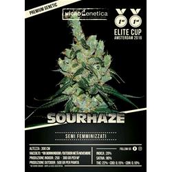 MICROGENETICA - SOUR HAZE FEM - 10 SEMI
