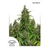 DUTCH PASSION - AUTOMAZAR - 3 SEEDS