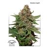 DUTCH PASSION - STRAWBERRY COUGH FEM - 3 SEMI 