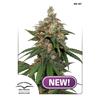 DUTCH PASSION - HIFI 4G FEM - 3 SEMI 