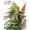 DSP GENETICS - PLATINUM COOKIES - 5 SEMI