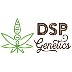 DSP GENETICS - PLATINUM COOKIES - 5 SEMI