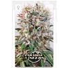 PARADISE SEEDS - WAPPA FEM - 5 SEEDS 