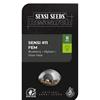 SENSI SEEDS - SENSI #11 FEM - 5 SEEDS