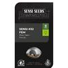 SENSI SEEDS - SENSI #32 FEM - 3 SEMI