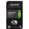 ***FINO ESAURIMENTO SCORTE*** SENSI SEEDS - SENSI #1318 CBD FEM - 1 SEME