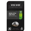 ***FINO ESAURIMENTO SCORTE*** SENSI SEEDS - SENSI #743 CBD FEM - 1 SEME