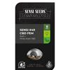 ***FINO ESAURIMENTO SCORTE*** SENSI SEEDS - SENSI #49 CBD FEM - 1 SEME