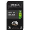 ***FINO ESAURIMENTO SCORTE*** SENSI SEEDS - SENSI #34 CBD AUTO - 1 SEME