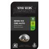 ***FINO ESAURIMENTO SCORTE*** SENSI SEEDS - SENSI #41 CBD AUTO - 1 SEME