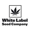 WHITE LABEL - MASTER KUSH AUTOMATICA - 10 SEMI