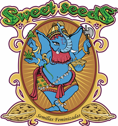 Sweet Seeds
