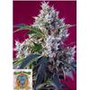 SWEET SEEDS - INDIGO BERRY KUSH FEM - 3+1 SEEDS