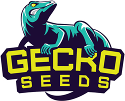 Gecko Seeds