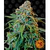 BARNEY'S FARM - LIBERTY HAZE FEM - 5 SEMI