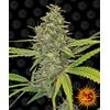 BARNEY'S FARM - G13 HAZE FEM - 5 SEEDS