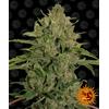BARNEY'S FARM - TRIPLE CHEESE FEMINIZED - 3 SEEDS